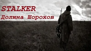 S. T. A. L. K. E. R.:ДОЛИНА ШОРОХОВ/НАЧАЛО/МАКСИМАЛЬНАЯ СЛОЖНОСТЬ