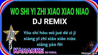 Wo shi yi zhi xiao xiao niao - Remix - karaoke no vokal ( huang jia jia ) cover to lyrics pinyin