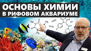 ОСНОВЫ ХИМИИ В РИФОВОМ АКВАРИУМЕ. Лу Экус: "Химия в рифовом аквариуме - это просто и интересно!"