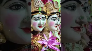 Vijaya Dasami | Gayatri Mata Darshan #Shorts