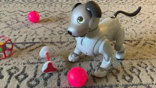 Aibo ERS-1000 That Survived The 4.60 Update (Read desc)