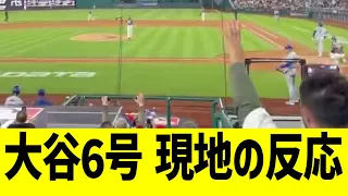 現地MLBファン、大谷の6号ホームランへ全員総立ち