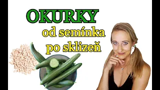 PĚSTOVÁNÍ OKUREK | OKURKY OD SEMÍNKA PO SKLIZEŇ | Výsev, výsadba, hnojení, zaštipování, úroda