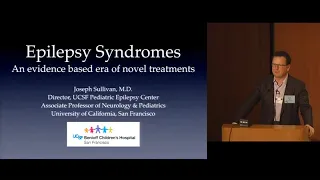 Epilepsy Syndromes: An Evidence-based Era of Novel Treatments