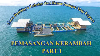 Cara Budidaya Lobster Air Laut dari Benur sampai siap Export (Pemasangan Kerambah) Part 1