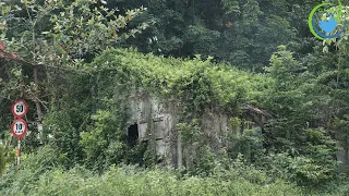 Terrified 50-year-old abandoned house revealed after we cleared the grass | SHOCK TRANSFORMATION