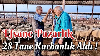 Kadirli Hayvan Pazarı Efsane Kurbanlık Pazarlığı / 2024 Kurbanlık Fiyatları