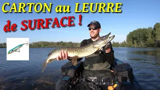 CARNAGE de BROCHETS au leurre de SURFACE en FLOAT TUBE ! Une session MEMORABLE !