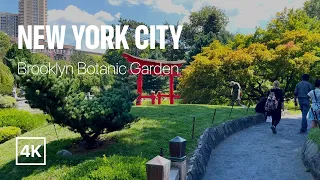 [4K] New York City 🗽 Brooklyn Botanic Garden [Aug. 2022]