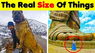 Photos That Show The Real Size Of Things