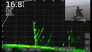 Fishing with Livescope Plus for Crappie!   Full-Screen Livescope Throughout!!!   Trip #2