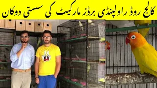 College road birds market Rawalpindi | cheapest birds shop@zakirhussainshah6234