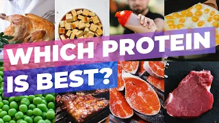 What Are The Best Protein Sources? Number One Might Surprise You...