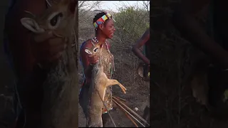 The Hadzabe tribe successfully catches a dik-dik, a small antelope in Tanzania
