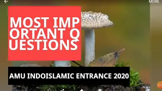 important questions for amu entrance 2020 indo islamic