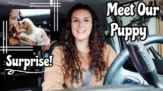 WE GOT A PUPPY! | FIRST 24 HOURS WITH OUR NEW PUPPY 🐶