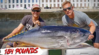 Giant Southern California Bluefin Tuna {CATCH CLEAN COOK} 2019