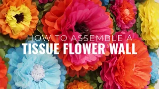 How to Assemble a Tissue Flower Wall Backdrop