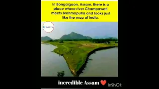 Incredible Assam #viral #shorts #shortsfeed #shortvideo
