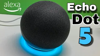 Amazon Echo Dot 5 con Alexa (versión sin reloj) Unboxing y Prueba de Sonido