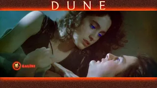 DUNE '84 WATER OF LIFE FAN CUT