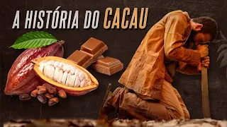 A História da origem do cacau e do chocolate