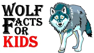 Wolf Facts for Kids - Animal Facts for Kids
