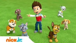 PAW Patrol | ‘Friendship Song’ Music Video 🐾 | Nick Jr.