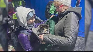 Burnt Hills veterinarian helps pets from Ukraine