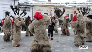 Obiceiuri de iarnă: Jocul ursului la Vadu Moldovei - Colegiul "Vasile Lovinescu" din Fălticeni