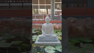 Buddha I Satsang Foundation, Madanapalle - Andhra Pradesh