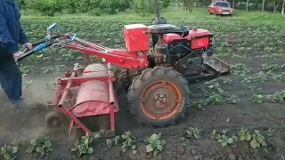 Рыхление междурядий фрезой тяжелого мотоблока