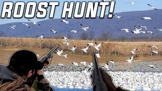We Hunted The Roost! (Last Day Of Season)