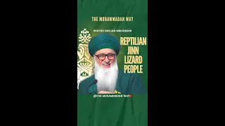 REPTILIAN JINN LIZARD PEOPLE #shorts #shaykhnurjanmirahmadi #jinn