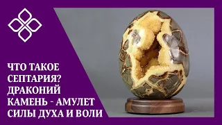 Что такое септария? Драконий камень - амулет силы духа и воли