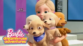 Najlepsze Momenty Zwierząt | Barbie Dreamhouse Adventures | @Barbie Po Polsku​