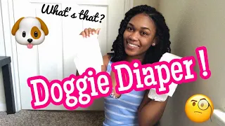 HOW TO MAKE A DOG DIAPER | DIY DOGGY DIAPERS