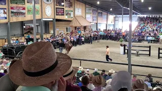 Sunnycrest CS Flash sells for $35,000...