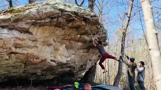 Texas Toast Low v11