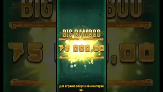 Занос в Big Bamboo 10 x8000 поляна панд push gaming