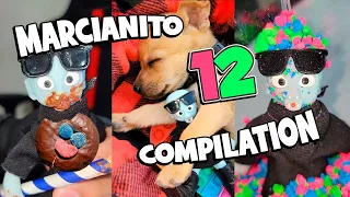 🤪 MARCIANITO TEMPORADA 12 🤣 (En Orden) COMPILATION #shorts #funny #viral #serie #animals #humor