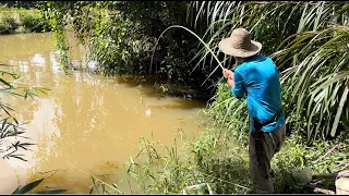 Era colocar um pedaço de piava e enticar e já atacavam, pescaria de traíra bruta!!!