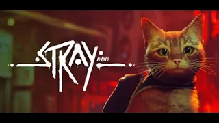 Котик путешественник. | Stray #2