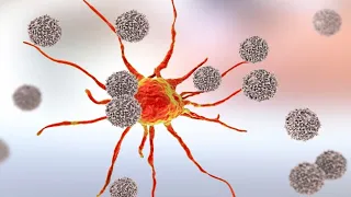 La respuesta inmunitaria contra el cáncer - Dr. Peter Taylor