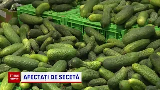 România, sub efectul cutremurelor devestatoare din Turcia: fructele și legumele s-au scumpit