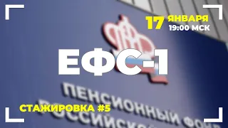 #5 Отчет ЕФС-1.