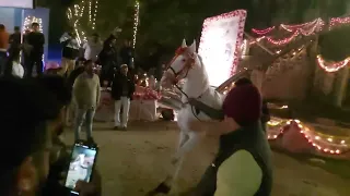 Horse Dancing In The Party Off....... #radhakrishnaserial #radhakrishna #radhakrishnalove #rkfans