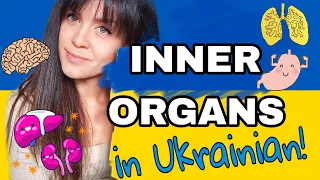 Ukrainian Vocabulary: Inner Organs
