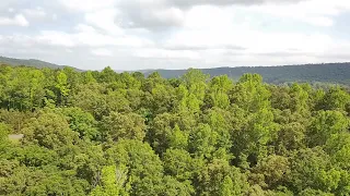 Springville al by drone ... remote id test two....