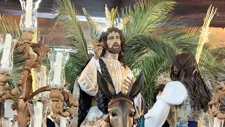 Hermandad de la Borriquilla - Domingo de Ramos - Guadix 2024